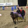 (067) Concours Indoor à Penfrat le 31 octobre 2015