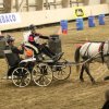 (067) Concours Indoor à Penfrat le 31 octobre 2015