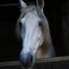 (067) Concours Indoor à Penfrat le 31 octobre 2015