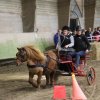 (067) Concours Indoor à Penfrat le 31 octobre 2015
