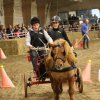 (067) Concours Indoor à Penfrat le 31 octobre 2015