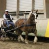 (067) Concours Indoor à Penfrat le 31 octobre 2015