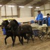 (067) Concours Indoor à Penfrat le 31 octobre 2015