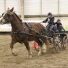 (067) Concours Indoor à Penfrat le 31 octobre 2015