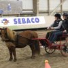 (067) Concours Indoor à Penfrat le 31 octobre 2015