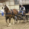 (067) Concours Indoor à Penfrat le 31 octobre 2015