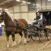 (067) Concours Indoor à Penfrat le 31 octobre 2015