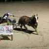(067) Concours Indoor à Penfrat le 31 octobre 2015
