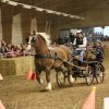 (067) Concours Indoor à Penfrat le 31 octobre 2015