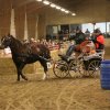 (067) Concours Indoor à Penfrat le 31 octobre 2015