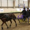 (067) Concours Indoor à Penfrat le 31 octobre 2015