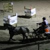 (067) Concours Indoor à Penfrat le 31 octobre 2015