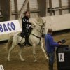(067) Concours Indoor à Penfrat le 31 octobre 2015
