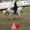 (067) Concours Indoor à Penfrat le 31 octobre 2015