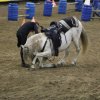 (067) Concours Indoor à Penfrat le 31 octobre 2015