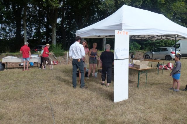 (84) Concours Attelage à la Forêt Fouesnant