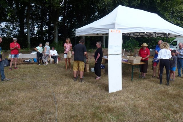 (84) Concours Attelage à la Forêt Fouesnant