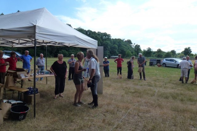 (84) Concours Attelage à la Forêt Fouesnant