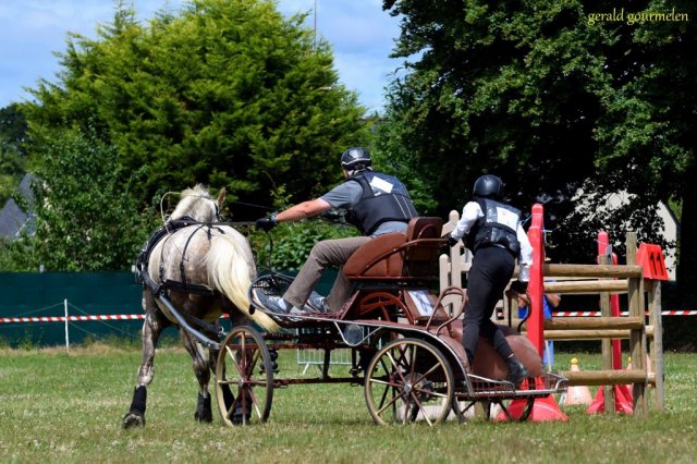 (84) Concours Attelage à la Forêt Fouesnant