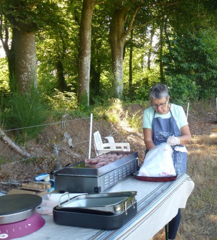 (84) Concours Attelage à la Forêt Fouesnant