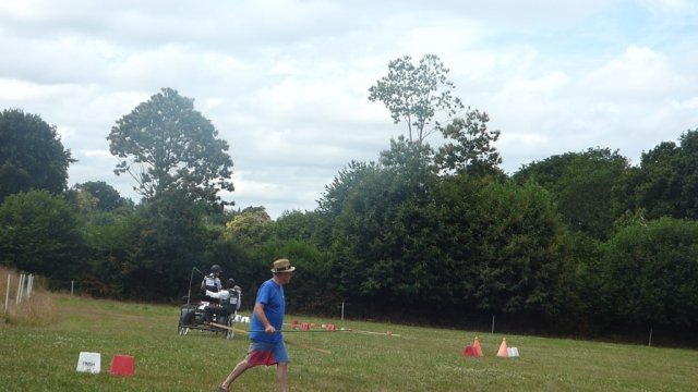 (84) Concours Attelage à la Forêt Fouesnant