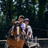 (84) Concours Attelage à la Forêt Fouesnant