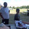 (84) Concours Attelage à la Forêt Fouesnant