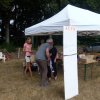 (84) Concours Attelage à la Forêt Fouesnant