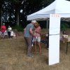 (84) Concours Attelage à la Forêt Fouesnant