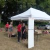 (84) Concours Attelage à la Forêt Fouesnant