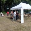 (84) Concours Attelage à la Forêt Fouesnant