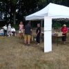 (84) Concours Attelage à la Forêt Fouesnant