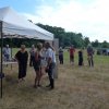 (84) Concours Attelage à la Forêt Fouesnant