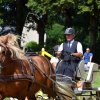 (84) Concours Attelage à la Forêt Fouesnant