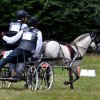 (84) Concours Attelage à la Forêt Fouesnant