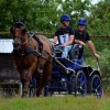 (84) Concours Attelage à la Forêt Fouesnant