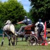 (84) Concours Attelage à la Forêt Fouesnant
