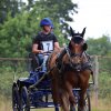 (84) Concours Attelage à la Forêt Fouesnant
