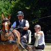(84) Concours Attelage à la Forêt Fouesnant
