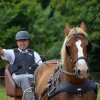 (84) Concours Attelage à la Forêt Fouesnant