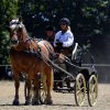 (84) Concours Attelage à la Forêt Fouesnant