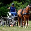 (84) Concours Attelage à la Forêt Fouesnant