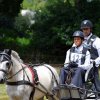 (84) Concours Attelage à la Forêt Fouesnant