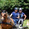 (84) Concours Attelage à la Forêt Fouesnant