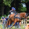 (84) Concours Attelage à la Forêt Fouesnant