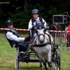 (84) Concours Attelage à la Forêt Fouesnant