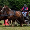 (84) Concours Attelage à la Forêt Fouesnant
