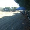 (84) Concours Attelage à la Forêt Fouesnant