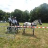 (84) Concours Attelage à la Forêt Fouesnant