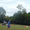 (84) Concours Attelage à la Forêt Fouesnant